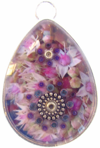 Sedum pendant