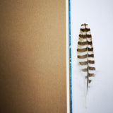 Handbound sketchbook / journal / notebook / diary / cyanotype feather design