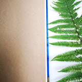 Handbound journal / notebook / diary/ fern design