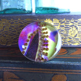 bromeliad brooch