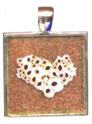 Barnacle necklace