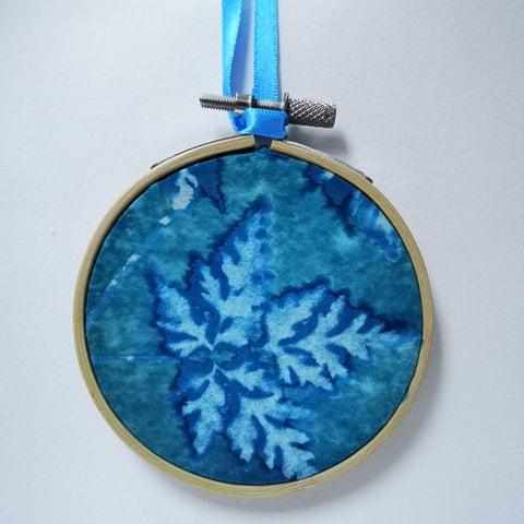 Herb Robert - original framed cyanotype