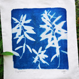 Cyanotype tote bag - Euphorbia design