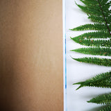Handbound journal / notebook / diary - Horse Chestnut leaf design