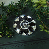Nightshade - silver plated brooch