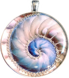 Nautilus - silver plated pendant and necklace